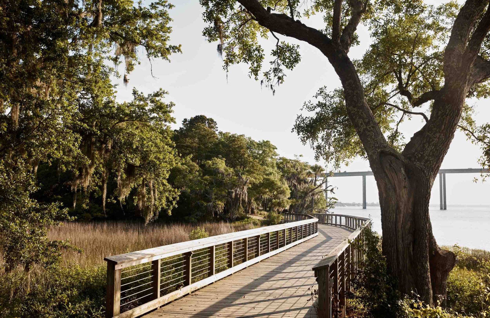 cooperriver 0003
