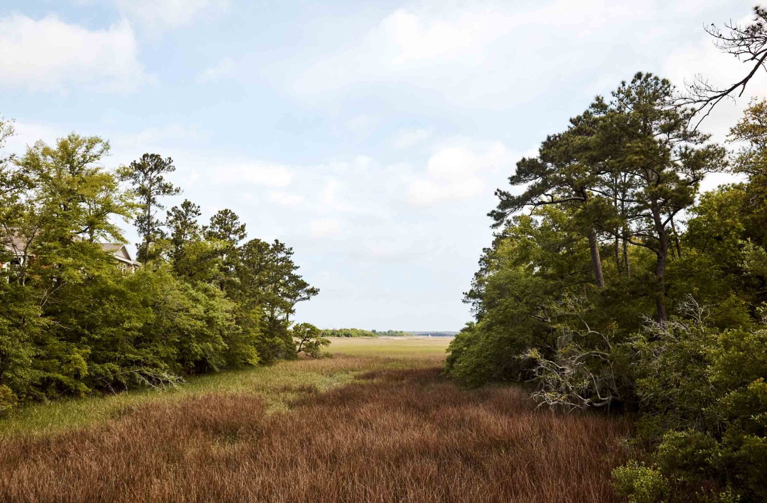 cooperriver 0037
